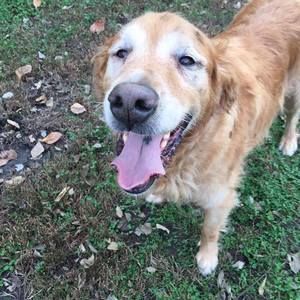 Meet your Posher, Shanna